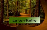 Le territoire forestier La forêt 2/3 des espèces végétales et animales habitent dans la forêt. Pour les animaux, la forêt fournit: un abri; de la nourriture;