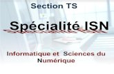 Présentation de la Spécialité SIN Système d'Information et Numérique STI2D : Sciences et Technologies de l'Industrie et du Développement Durable.