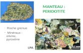 MANTEAU : PERIDOTITE LPA - Roche grenue - Minéraux : olivine, pyroxène.