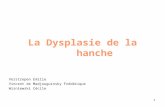 1 La Dysplasie de la hanche Verstrepen Emilie Vincent de Madjouguinsky Frédérique Wisniewski Cécile.