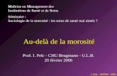 I. Pelc – MMISS - 2006 Prof. I. Pelc - CHU Brugmann - U.L.B. 20 février 2006 Au-delà de la morosité Maîtrise en Management des Institutions de Santé et.