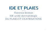 IDE ET PLAIES IDE ET PLAIES MARS 2014 Florence Breton IDE unité dermatologie DU PLAIES ET CICATRISATIONS 1