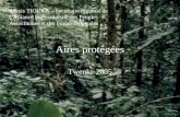 Aires protégées Twenke 2005 Alexis TIOUKA – Secrétaire régional de lAlliance Internationale des Peuples Autochtones et des Forêts Tropicales.