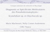 Groupes nationaux de recherche en Mycologie Société Française de Mycologie Médicale, Nancy, 11 Mai 2007 Diagnostic et Spécificités Moléculaires des Pseudodermatophytes.