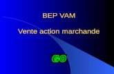 BEP VAM Vente action marchande Champs dactivité Employé polyvalent, le titulaire du BEP « vente action marchande » peut intervenir dans toutes les phases.