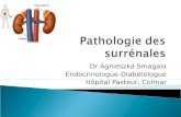 Dr Agnieszka Smagala Endocrinologue-Diabétologue Hôpital Pasteur, Colmar.