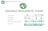 Sauveteur Secouriste du Travail Formation: Protéger Examiner Alerter, Faire Alerter Secourir.