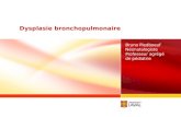 Dysplasie bronchopulmonaire Bruno Piedboeuf Néonatalogiste Professeur agrégé de pédiatrie.