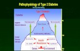 Principaux désordres métaboliques au cours du diabète de type 2 - Augmentation production du glucose du glucose - Augmentation synthèse des VLDL - Diminution.