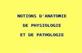 Prévention des Risques liés à lActivité Physique1 NOTIONS D'ANATOMIE DE PHYSIOLOGIE ET DE PATHOLOGIE.