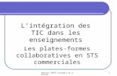 Réunion IANTE Economie et gestion 1 Lintégration des TIC dans les enseignements Les plates-formes collaboratives en STS commerciales.
