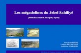 Les mégadolines du Jebel Sahiliyé (Muhafazah de Lattaquié, Syrie) Rik Rak d'Evenos (Var), 21 et 22 janvier 2011 Jean-Yves BIGOT, Ludovic MOCOCHAIN & Olivier.