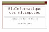BioInformatique des micropuces Abdoulaye Baniré Diallo 25 mars 2008.