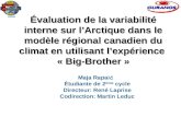 Évaluation de la variabilité interne sur lArctique dans le modèle régional canadien du climat en utilisant lexpérience « Big-Brother » Maja Rapaić Étudiante.