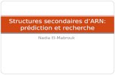 Nadia El-Mabrouk Structures secondaires dARN: prédiction et recherche.