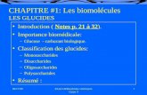 09/17/981PAA1140 Biochimie vétérinaire Cours 3 CHAPITRE #1: Les biomolécules LES GLUCIDES Introduction ( Notes p. 21 à 32). Importance biomédicale: –Glucose.