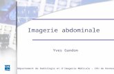 Département de Radiologie et dImagerie Médicale - CHU de Rennes Imagerie abdominale Yves Gandon.