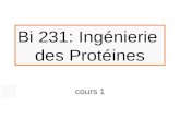 Bi 231: Ingénierie des Protéines cours 1. Plan Général I. Introduction et rappels. II. Purification des protéines. III. Surexpression d'une protéine.
