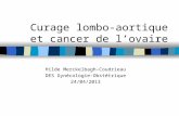 Curage lombo-aortique et cancer de lovaire Hilde Merckelbagh-Coudrieau DES Gynécologie-Obstétrique 24/04/2013.