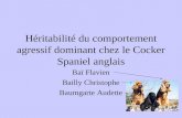 Héritabilité du comportement agressif dominant chez le Cocker Spaniel anglais Baï Flavien Bailly Christophe Baumgarte Audette.