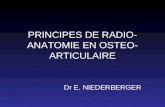 PRINCIPES DE RADIO- ANATOMIE EN OSTEO- ARTICULAIRE Dr E. NIEDERBERGER.