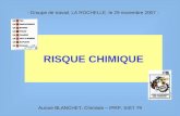 Groupe de travail, LA ROCHELLE, le 29 novembre 2007 - RISQUE CHIMIQUE Aurore BLANCHET, Chimiste – IPRP, SIST 79