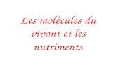 Les molécules du vivant et les nutriments. Introduction Molécules du vivant (synthétisées par les cellules): Glucides, protéines, lipides Presque toujours.