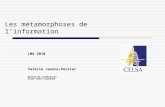 Les métamorphoses de linformation LMA 2010 Valérie Jeanne-Perrier Maître de conférences Celsa Paris Sorbonne.