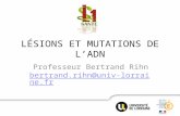 LÉSIONS ET MUTATIONS DE LADN Professeur Bertrand Rihn bertrand.rihn@univ-lorraine.fr bertrand.rihn@univ-lorraine.fr.