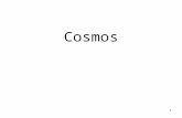 1 Cosmos. 2 Défi: établir un isomorphisme entre la géométrie du polyèdre (disque, tore, Peano) et (K 3 / )* Idée: jumeler le disque avec une "courbe de.