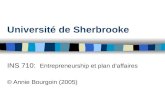 Université de Sherbrooke INS 710: Entrepreneurship et plan daffaires © Annie Bourgoin (2005)