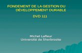 FONDEMENT DE LA GESTION DU DÉVELOPPEMENT DURABLE DVD 111 Michel Lafleur Université de Sherbrooke.