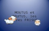 MOUTUS et BRUTUS, les frères FRISUS ? 3 Dans le pré des rêves, Moutus le petit mouton numéro trois, attend son tour pour sauter. 1 2 3 ? 1 2 3 ? ? 3.
