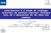 Contribution à létude du couplage transfert de matière-réaction chimique lors de labsorption de CO 2 dans une saumure GLS–F 5 - 14 juin 2007 Carry-le-Rouet.
