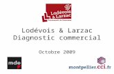 Lodévois & Larzac Diagnostic commercial Octobre 2009.