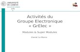 DPNC Daniel La Marra Activités du Groupe Electronique « GrElec » Modules & Super Modules.