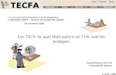 18 novembre 2004 D. Peraya, TECFA Les rencontres de la formation et du développement Laboratoire RIFT – Secteur Formation des adultes Les TICS: de quel.