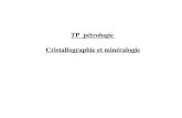 TP pétrologie Cristallographie et minéralogie Abondance des minéraux et des éléments dans la croûte.