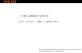TP de pétrographie 6: Les roches métamorphiques. Pierre Beck, Laboratoire de Planétologie de Grenoble pierre.beck@obs.ujf-grenoble.fr TUE 233.