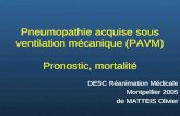 Pneumopathie acquise sous ventilation mécanique (PAVM) Pronostic, mortalité DESC Réanimation Médicale Montpellier 2005 de MATTEIS Olivier.