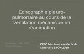 Echographie pleuro- pulmonaire au cours de la ventilation mécanique en réanimation Annelise RAILLON Saint Etienne DESC Réanimation Médicale Séminaire LYON.