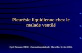Pleurésie liquidienne chez le malade ventilé Cyril Besnard. DESC réanimation médicale. Marseille, février 2004.