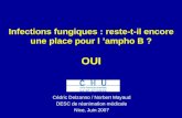 Infections fungiques : reste-t-il encore une place pour l ampho B ? OUI Cédric Delzanno / Norbert Mayaud DESC de réanimation médicale Nice, Juin 2007.