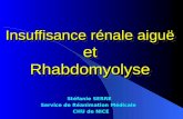 Insuffisance rénale aiguë et Rhabdomyolyse Stéfanie SERRE Service de Réanimation Médicale CHU de NICE.