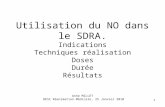 1 Utilisation du NO dans le SDRA. Indications Techniques réalisation Doses Durée Résultats Anne MILLET DESC Réanimation Médicale, 25 Janvier 2010.