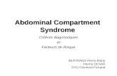 Abdominal Compartment Syndrome Critères diagnostiques et Facteurs de Risque BERTRAND Pierre-Marie Interne DESAR CHU Clermont-Ferrand.