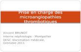 Vincent BRUNOT Interne néphrologie - Montpellier DESC réanimation médicale, Grenoble 2011 Prise en charge des microangiopathies thrombotiques.