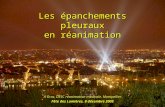 Les épanchements pleuraux en réanimation A Gros, DESC réanimation médicale, Montpellier Fête des Lumières, 8 décembre 2005