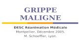 GRIPPE MALIGNE DESC Réanimation Médicale Montpellier, Décembre 2005. M. Schoeffler, Lyon.