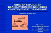 PRISE EN CHARGE EN REANIMATION DES BRULURES CAUSTIQUES DE LŒSOPHAGE Montpellier Décembre 2005 Myriam Casez DES Anesthésie–Réanimation Grenoble 1ere année.